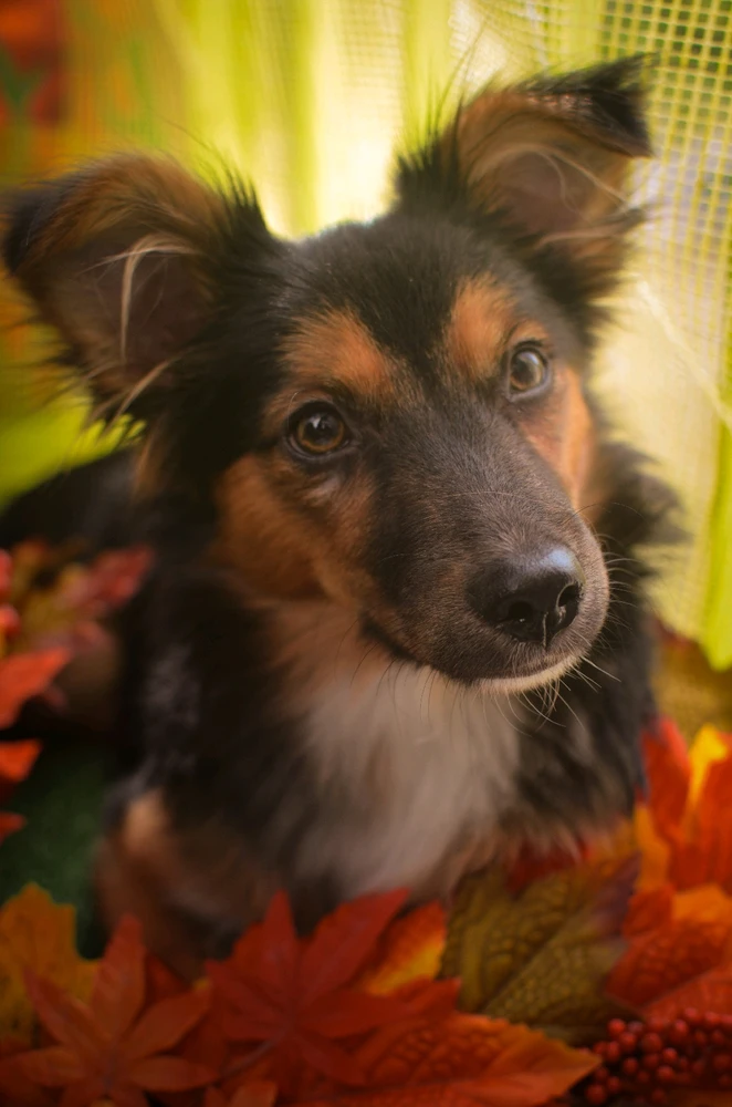 Zdjęcie dodane przez Kinga