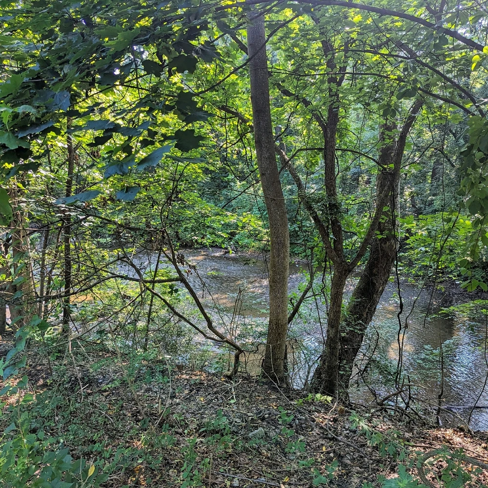 Image uploaded by Jeffrey