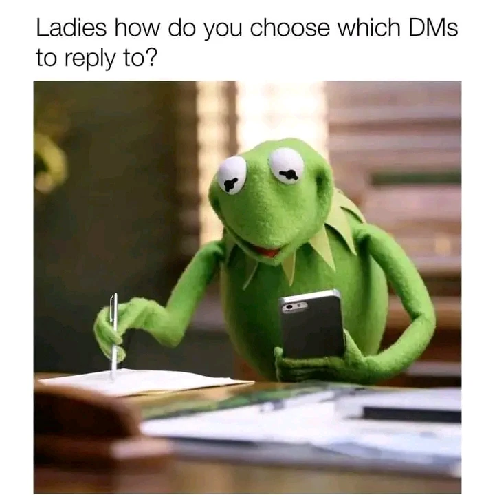 Image uploaded by Furrr mimi