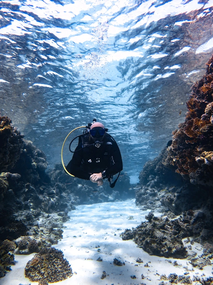 Berkay tarafından yüklenen görsel