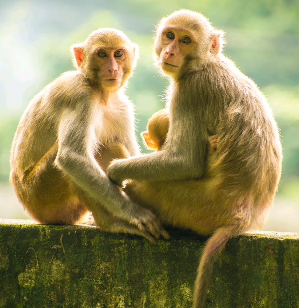 Gambar diunggah oleh JUN