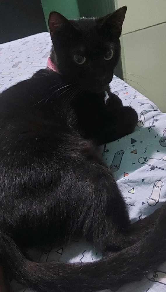 Imagem enviada por Any