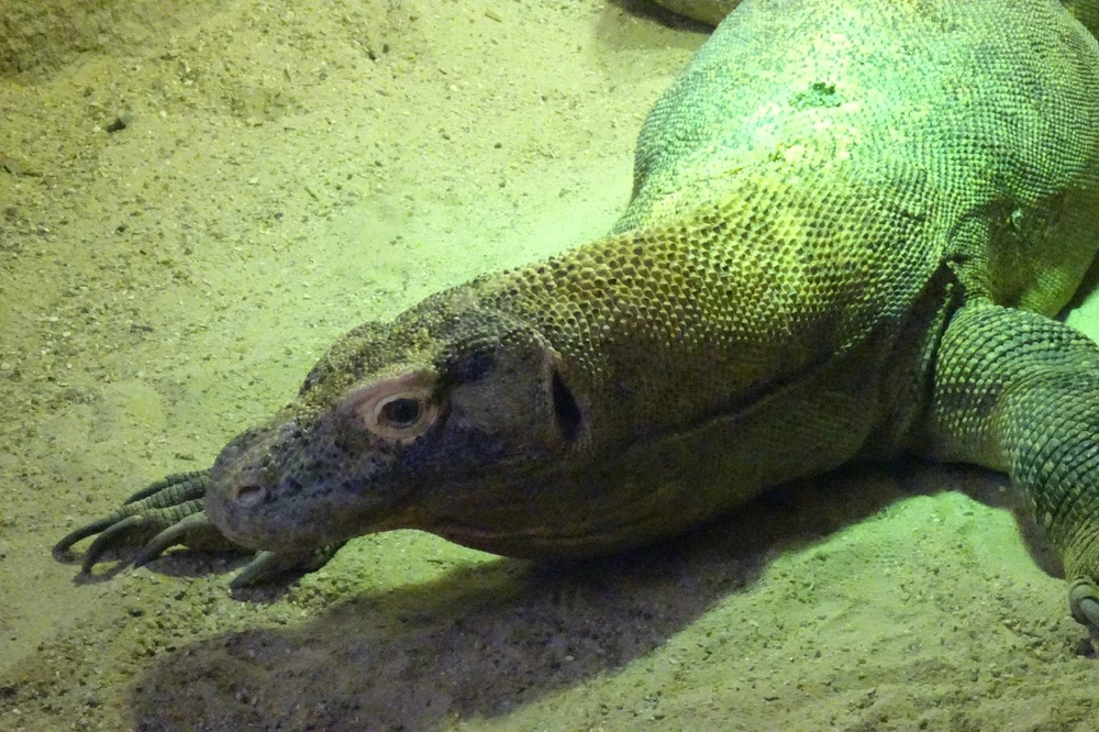 Image ajoutée par Playerone76