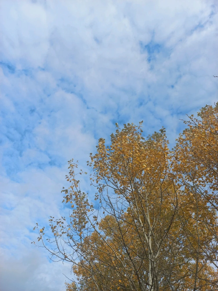 Зображення завантажив Sunny_Plush