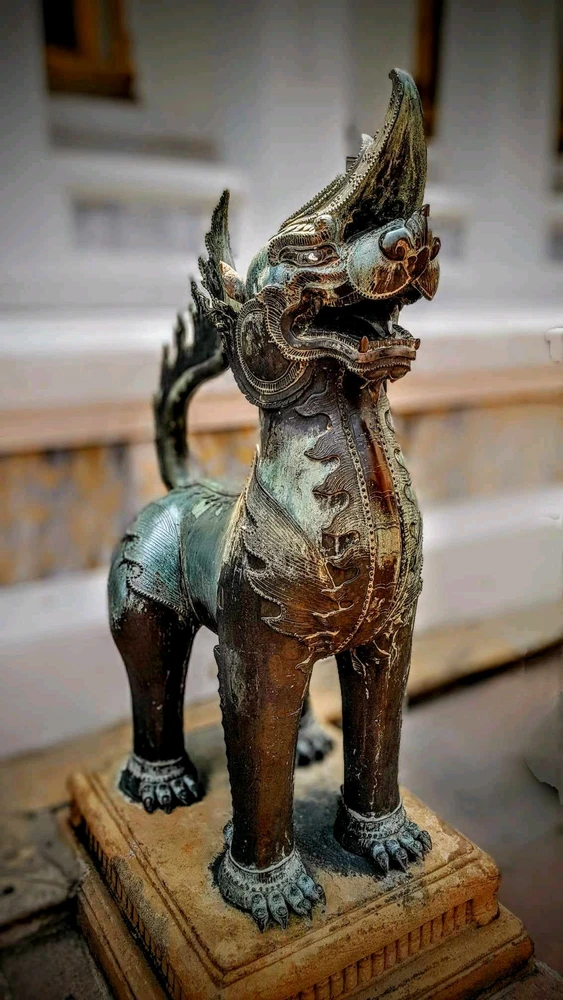 由André上传的图片