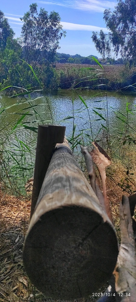 תמונה שהועלתה על ידי ניר