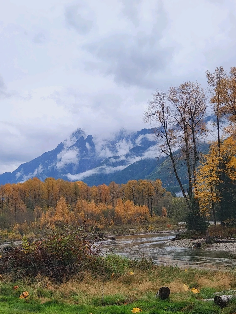 Image uploaded by Lauren