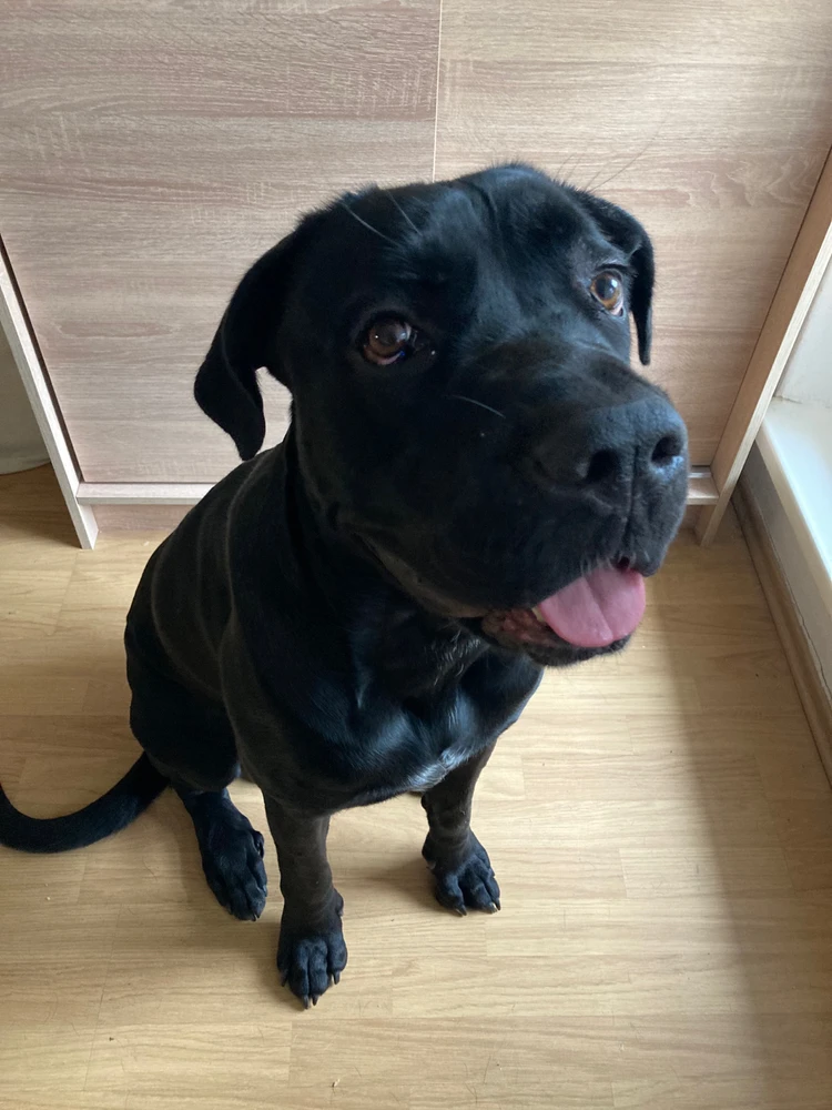 Obrázek nahrál Martin