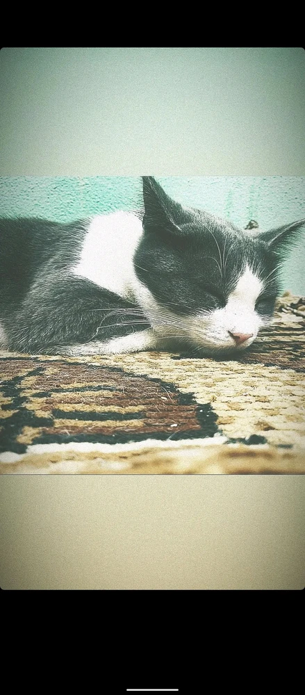 Imagine încărcată de Manuel