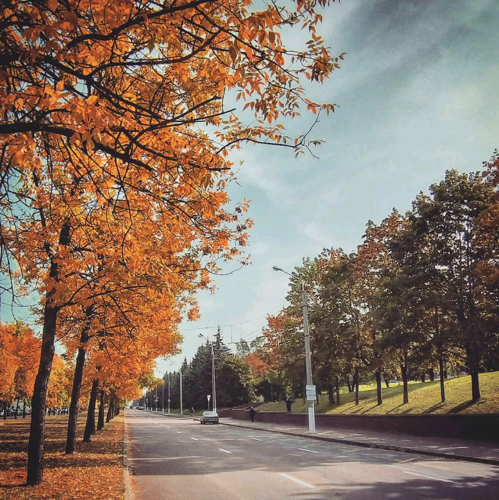 Gambar diunggah oleh DrM