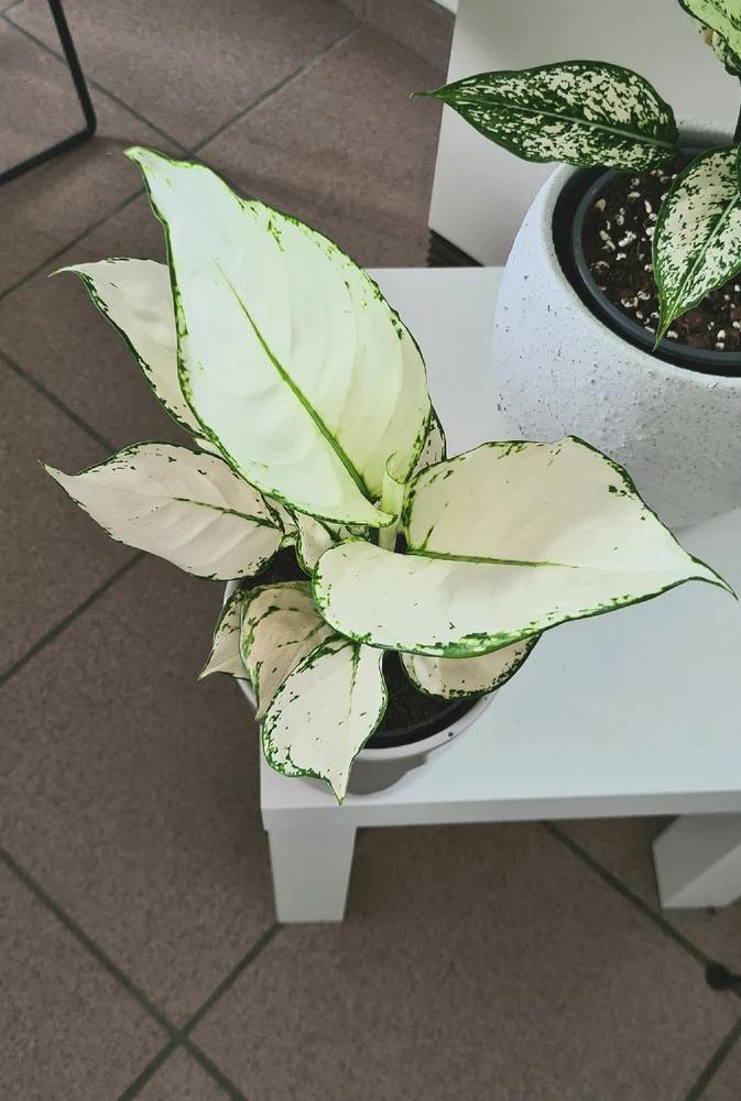 Image ajoutée par Mic