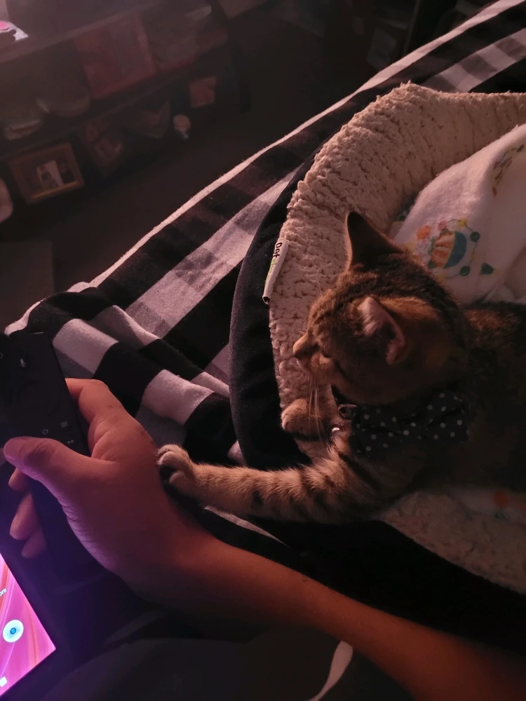 Image uploaded by Qing Mother