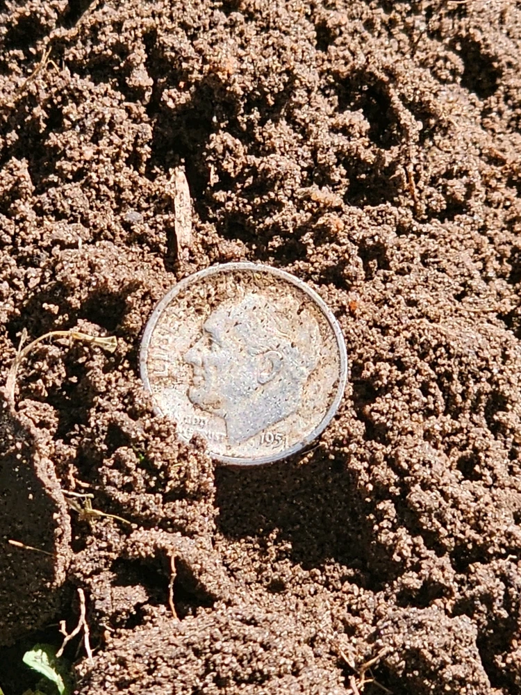 Image uploaded by John