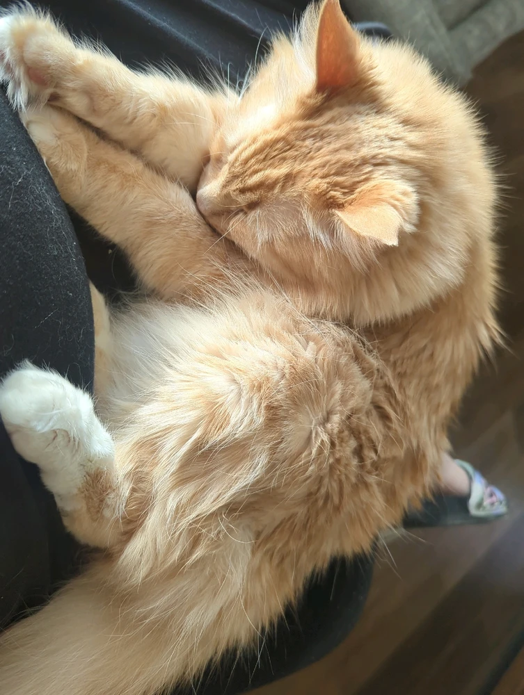 Image uploaded by Bridget