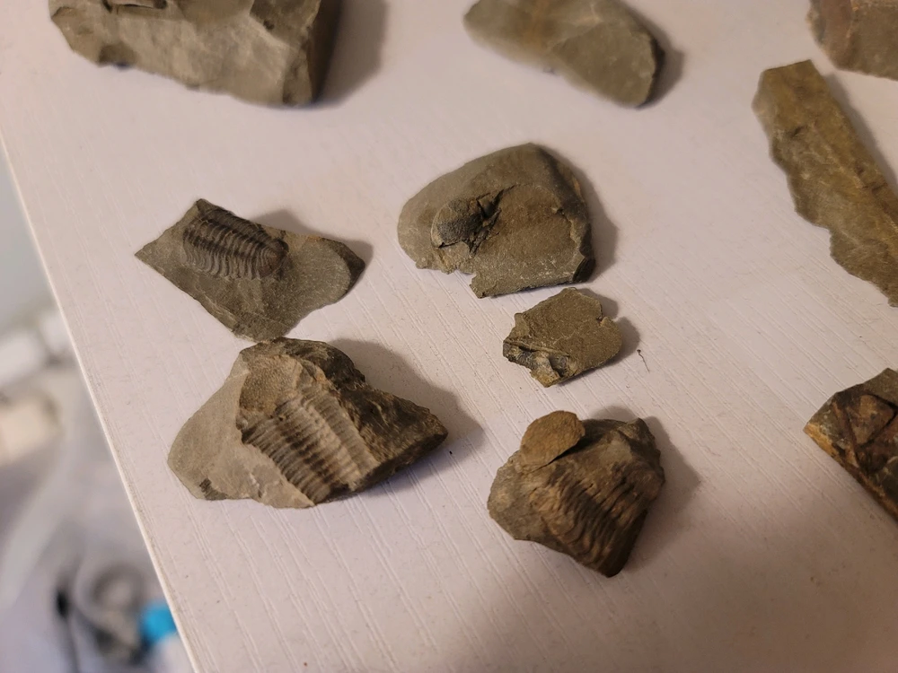 Image uploaded by Wolfgang