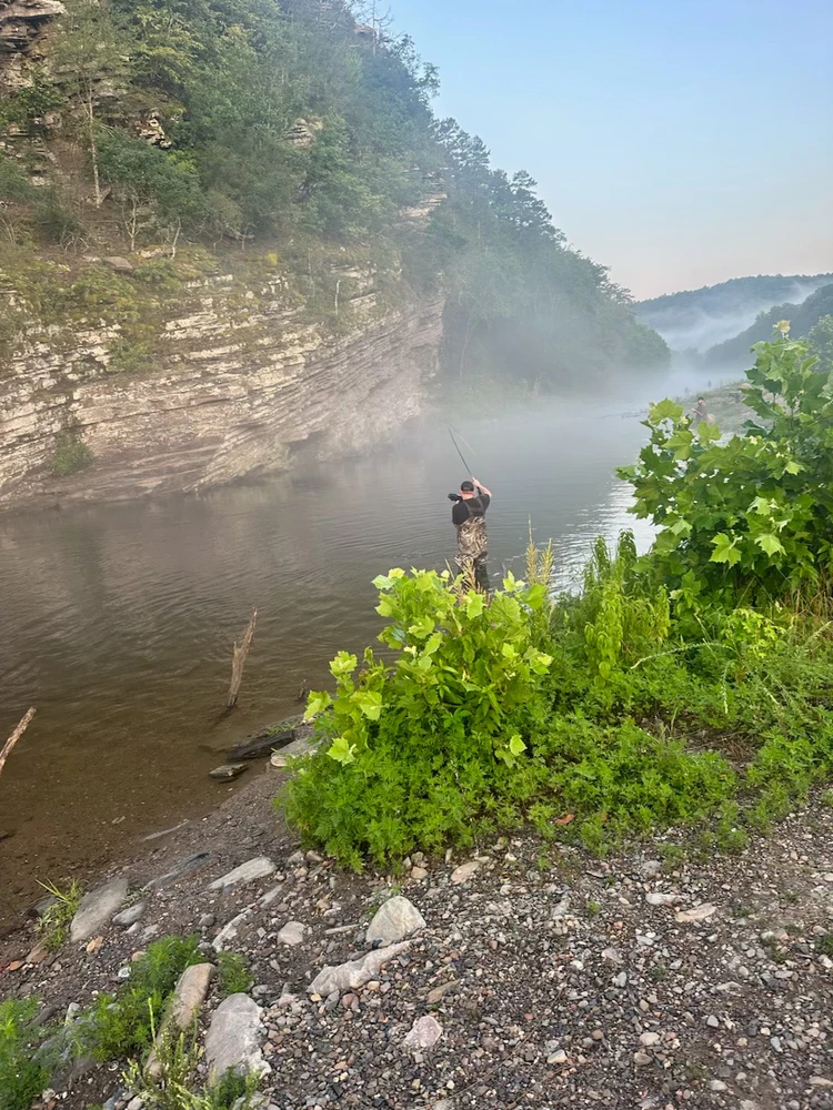 Image uploaded by Daylon Bruce