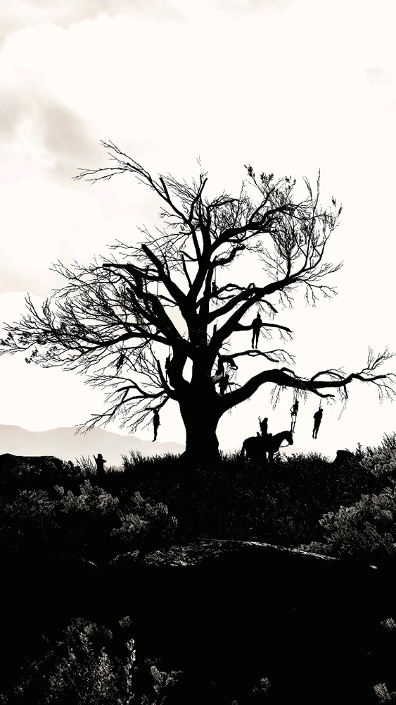 Image ajoutée par Anthony