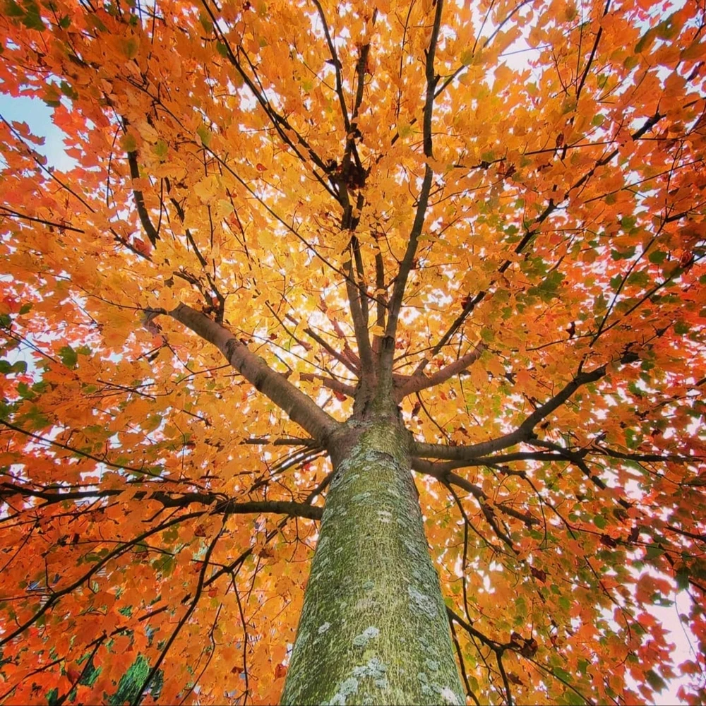 Image uploaded by Mike