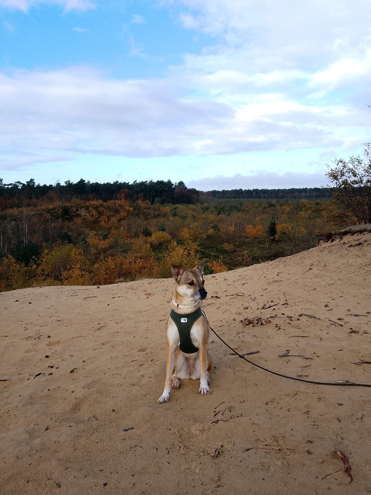 Afbeelding geüpload door Maris