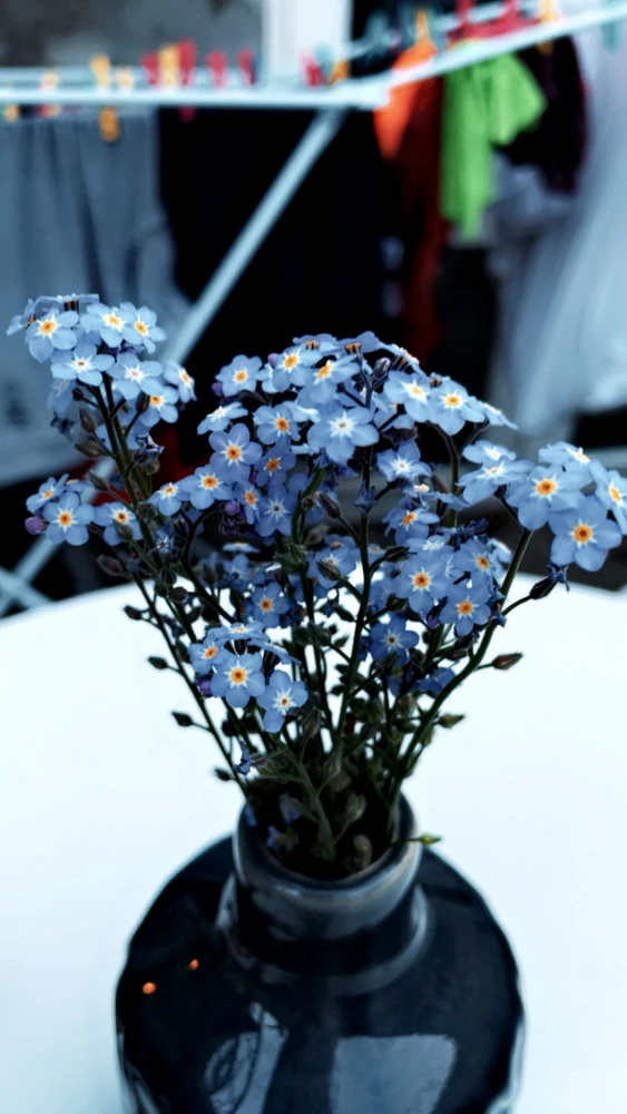 Billede uploadet af Fenja rakel b