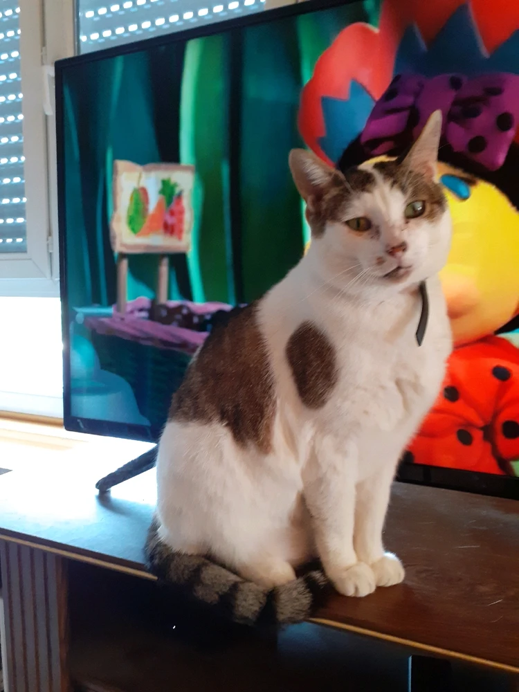 Image ajoutée par Patricia