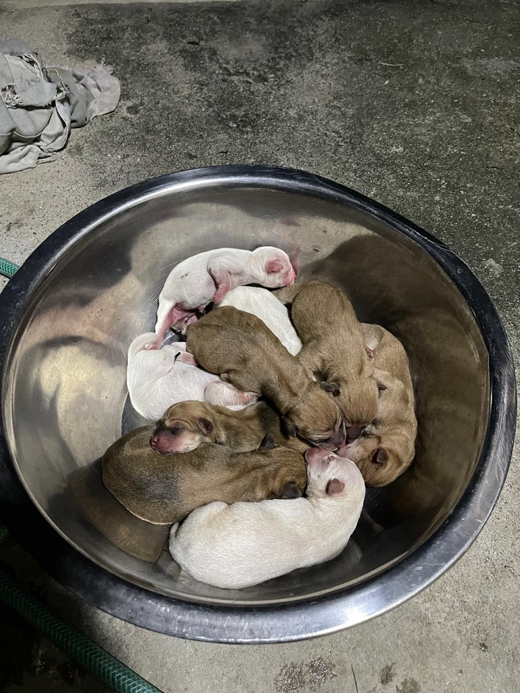 Image uploaded by Khym