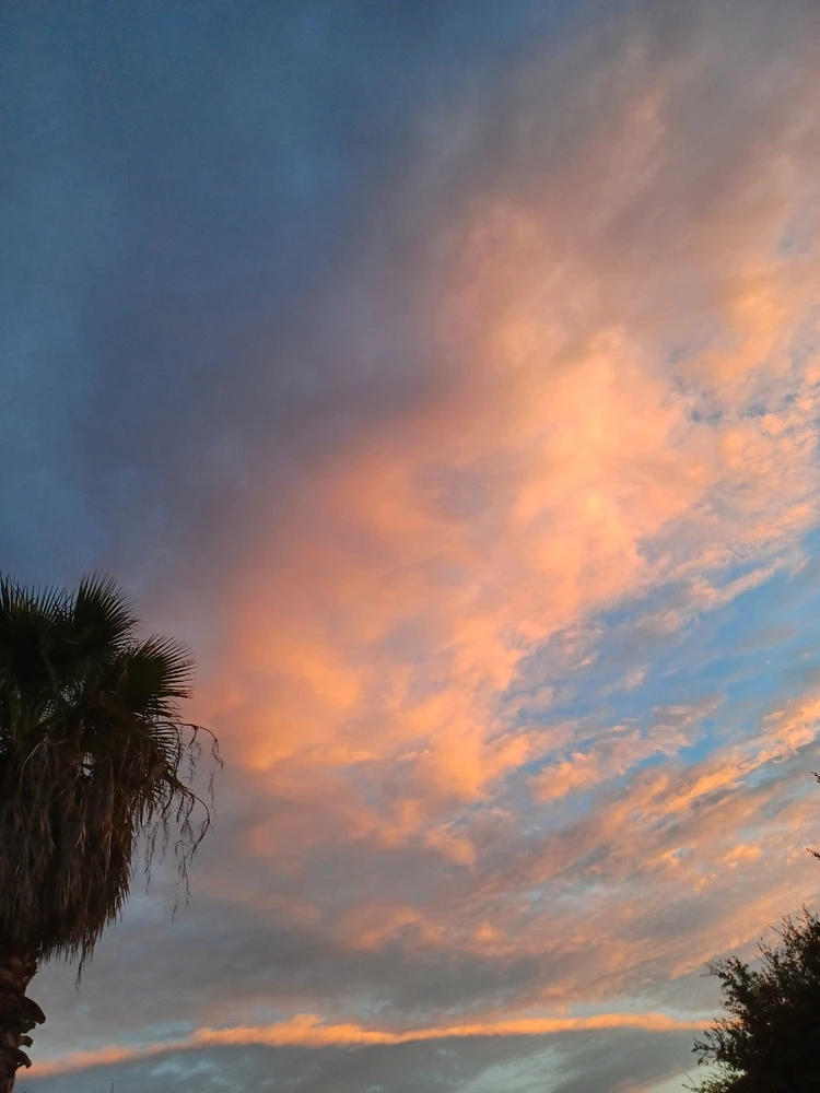 Image uploaded by 🎄Greenly💚🌃⛈️🌌🌊
