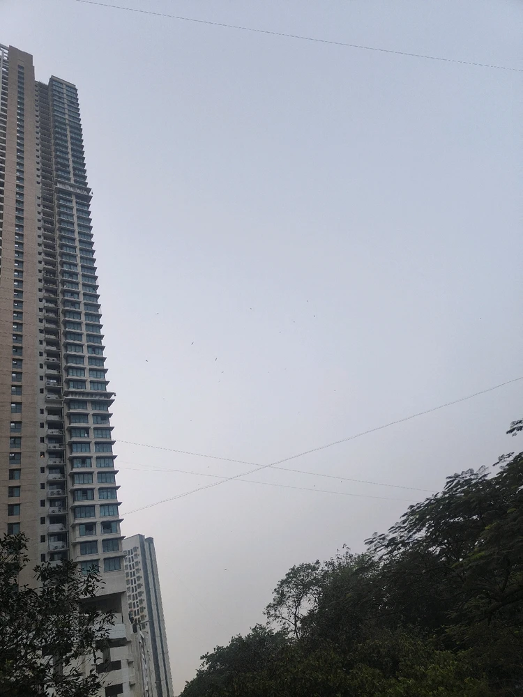 由sandy上传的图片