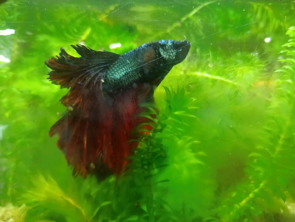 Imagen subida por Jorge