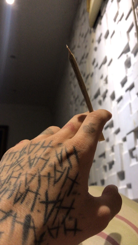 Imagem enviada por Matheus