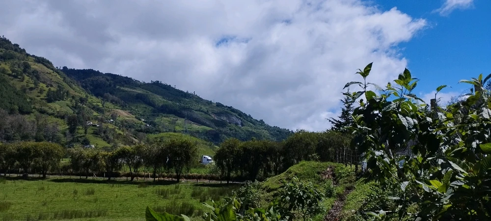 Image uploaded by Eduardo Milian