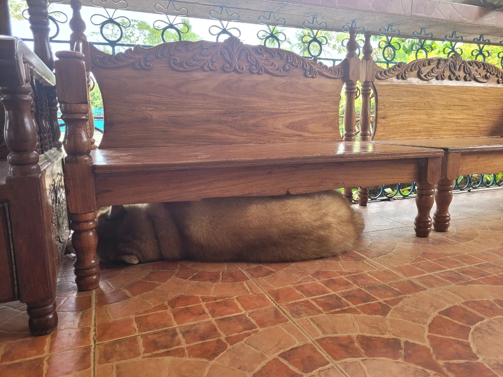 Image uploaded by Elli