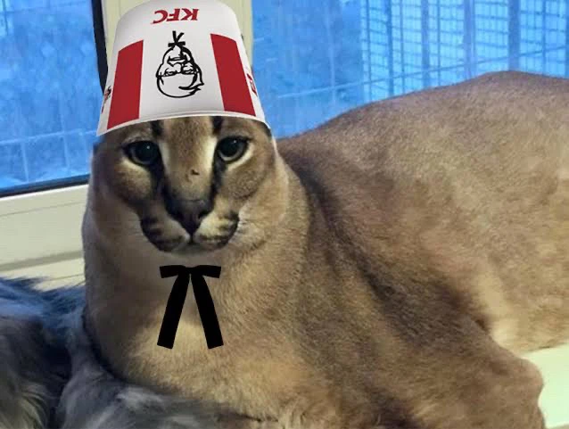 Imagen subida por Gabriel