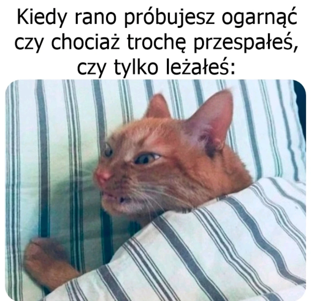 Zdjęcie dodane przez Artur