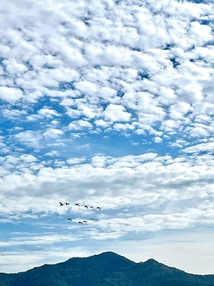 Sam님이 올린 사진