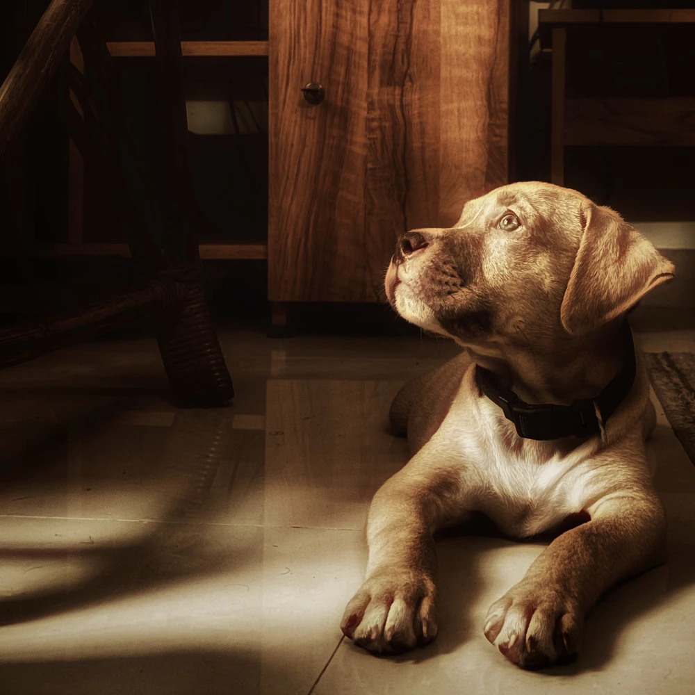 Abhi അപ്‌ലോഡ് ചെയ്ത ചിത്രം