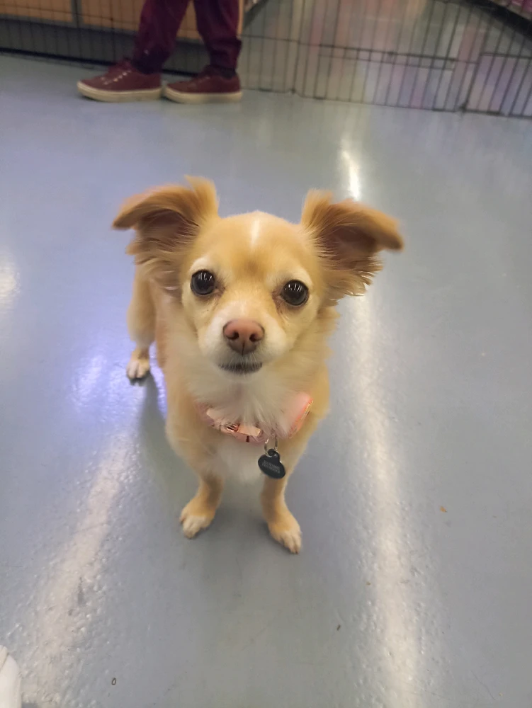 Imagen subida por Lizbeth