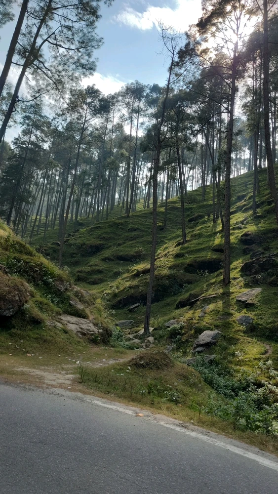 Image uploaded by Kumar Gaurav
