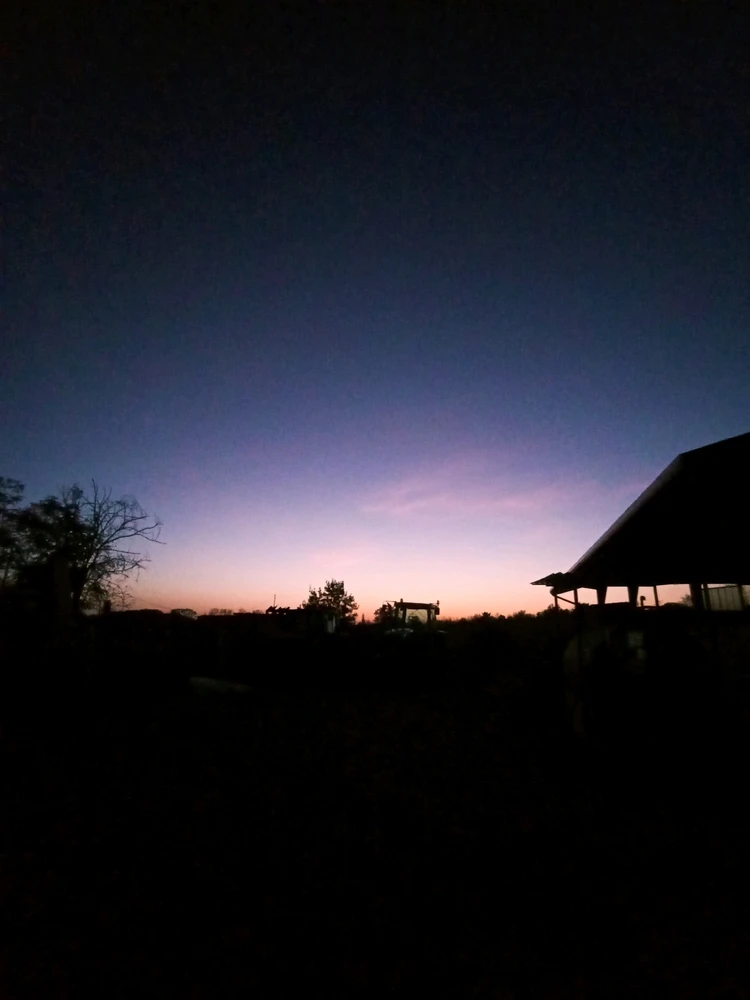 Immagine caricata da Matteo