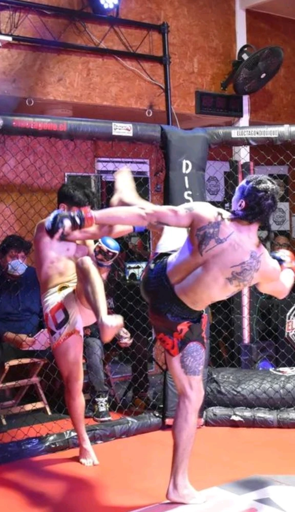 Te gustan las MMA ? Mixed martial arts?