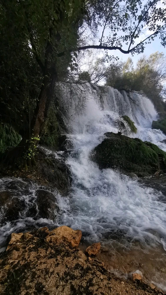 Image uploaded by Sama