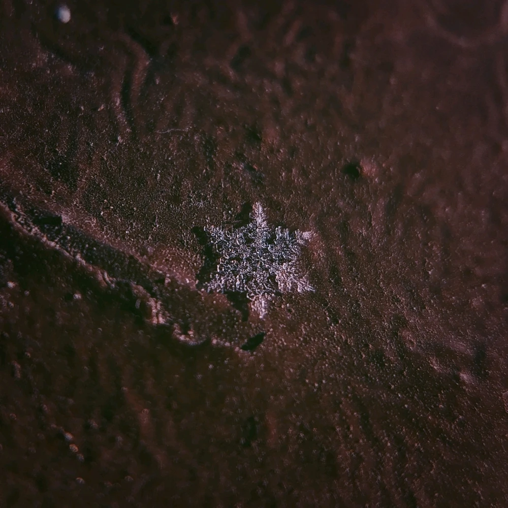 Zdjęcie dodane przez Karolina