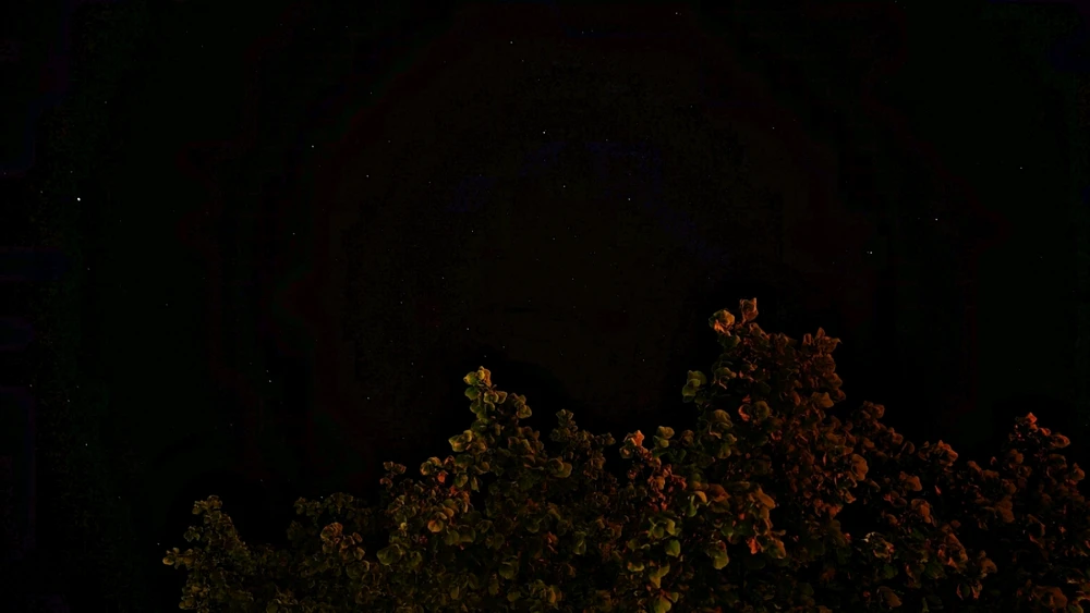 Zdjęcie dodane przez Karolina