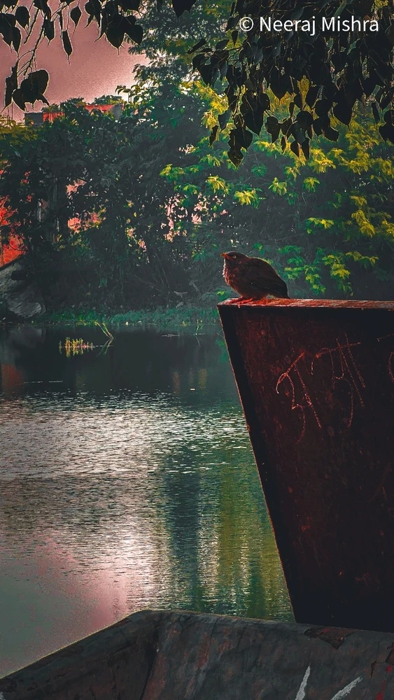 I-upload ni Falcon ang larawan