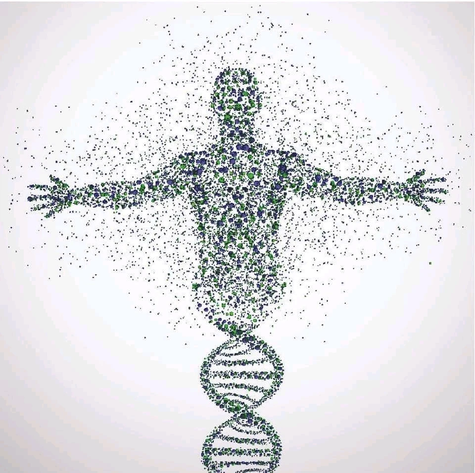 Image ajoutée par Dorian🐞