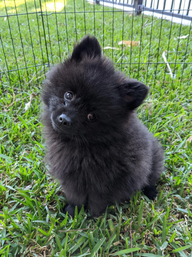 Image uploaded by Elliot