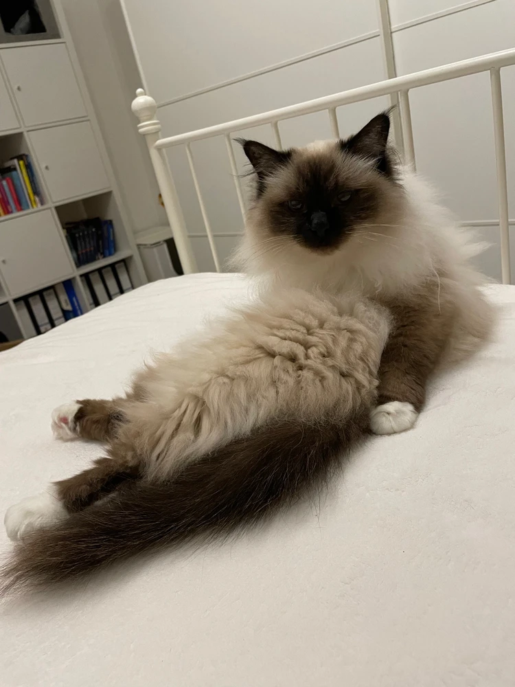 Bild hochgeladen von Dani