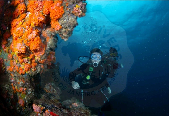 Imagem enviada por Marce