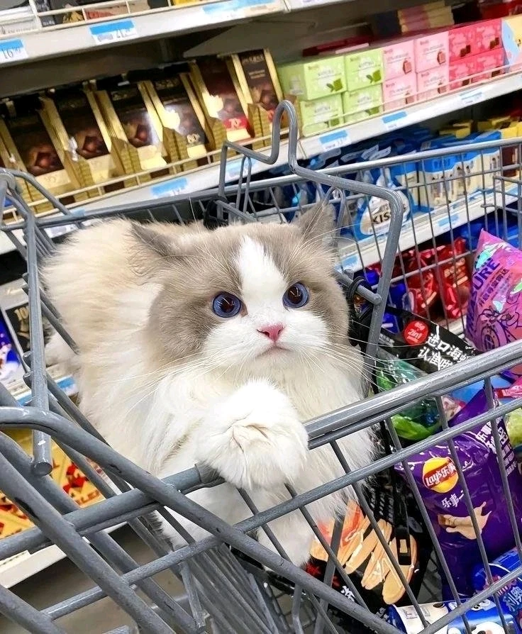 Immagine caricata da Filippo