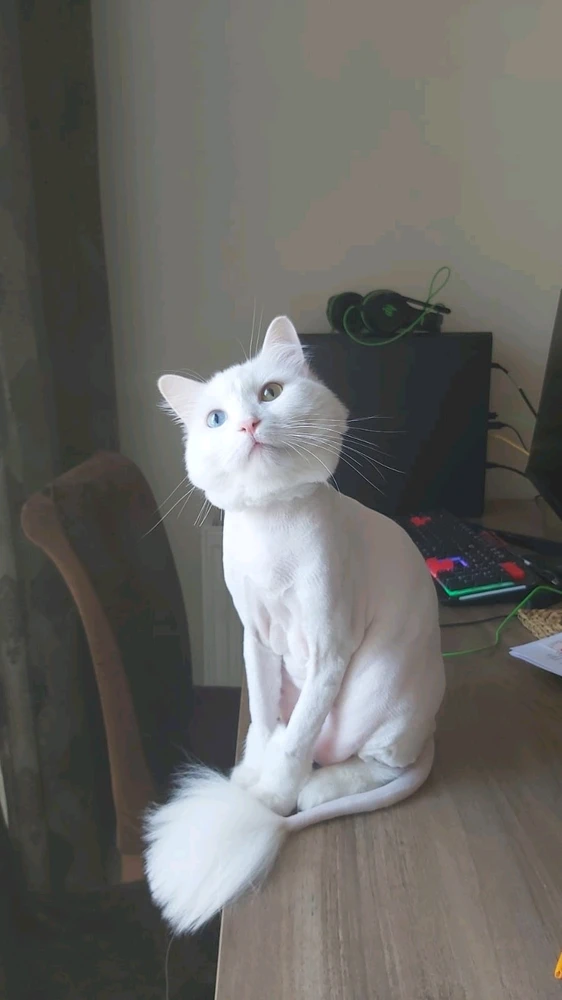 Immagine caricata da Filippo